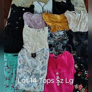 14 Women's Assorted Shirtsleeve Tops Collection Sz L